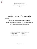 Khóa luận tốt nghiệp phân tích hiệu quả hoạt động kinh doanh của công ty trách nhiệm hữu hạn mạnh trường bình 