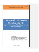 Báo cáo kết quả khảo sát Năng lực giáo viên (nghề Điện tử công nghiệp, Cắt gọt kim loại, Điện công nghiệp)