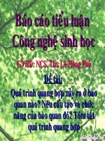 slide 1 baùo caùo tieåu luaän coâng ngheä sinh hoïc ñeà taøi quaù trình quang hôïp xaûy ra ôû baøo quan naøo neâu caáu taïo vaø chöùc naêng cuûa baøo quan ñoù toùm taét quaù trình quang hôïp gvhd nc