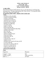 ĐỀ CƯƠNG HƯỚNG DẪN TỰ HỌC TIẾNG ANH 9 - HỆ 7 NĂM