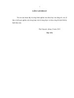 LUẬN văn THẠC sĩ y học dự PHÒNG (FULL) thực trạng viêm nhiễm đường sinh dục dưới ở phụ nữ 15   49 tuổi có chồng tại xã kim quan, thạch thất, hà nội và một số yếu tố liên quan 