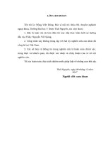 LUẬN văn THẠC sĩ y học FULL (NGOẠI KHOA) kết quả phẫu thuật nội soi tái tạo dây chằng chéo trước khớp gối bằng gân cơ chân ngỗng theo KT tất cả bên trong tại BVTW TN 