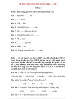 bo-de-thi-trang-nguyen-tieng-viet-lop-4 (1)