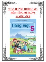 Tổng hợp đề thi học kì 2 môn Tiếng Việt lớp 5 năm 2017-2018