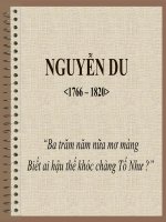 nguyễn du nguyễn du “ba trăm năm nữa mơ màng biết ai hậu thế khóc chàng tố như ” thời đại sống trong thời đại có nhiều biến cố phức tạp sự suy tàn của nhà lê xẩy ra các cuộc nội chiến k