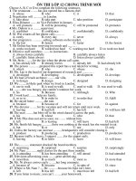 on thi 12 moi vocabulary and Grammar
