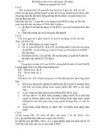 kiem tra NCP tu luan