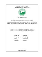 Luận văn tốt nghiệp nghiên cứu sinh trưởng loài cây sa nhân (amomum xanthioides wall) trên các giá thể đất 