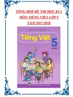 Tổng hợp đề thi học kì 1 môn Tiếng Việt lớp 5 năm 2017-2018