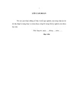 LUẬN văn THẠC sĩ y học dự PHÒNG (FULL) thực trạng hành vi lây nhiễm HIV AIDS và yếu tố ảnh hưởng đến hành vi lây nhiễm ở người nghiện chích ma túy tại TP bắc giang 