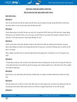 Đề cương ôn tập HK2 năm 2020 môn Ngữ Văn 6 - Trường TH&THCS Hồng Phương