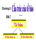 Bai 7 Te bao nhan so Rat hay