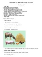 ĐỀ CƯƠNG HƯỚNG DẪN TỰ HỌC CÔNG NGHÊ 7_CHỦ ĐỀ 4