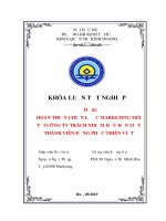 HOÀN THIỆN CHIẾN lược MARKETING MIX tại CÔNG TY TRÁCH NHIỆM hữu hạn một THÀNH VIÊN ĐỒNG PHỤC THIÊN VIỆT 