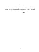 LUẬN văn THẠC sĩ y học FULL (NHI KHOA) đặc điểm LS, CLS và một số yếu tố liên quan đến vàng da tăng bilirubin tự do ở trẻ sơ sinh non tại bvđk TW thái nguyên 