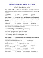 Đề thi thử vào lớp 10 môn tiếng Anh năm 2021 có đáp án số 2