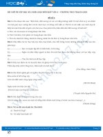 Bộ 3 đề ôn tập HK2 năm 2020 môn Ngữ Văn 6 - Trường THCS Thạch Linh