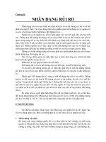 Bài giảng và tài liệu tham khảo Quản trị Rủi ro