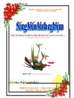 Mau Trang Bia tham khao