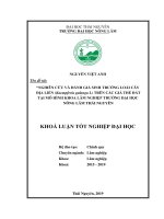 Luận văn tốt nghiệp nghiên cứu và đánh giá sinh trưởng loài cây địa liền (kaempferia galanga l) trên các giá thể đất 