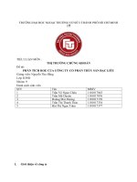 Tiểu luận thị trường chứng khoán phân tích ROE của công ty cổ phần thủy sản bạc liêu 