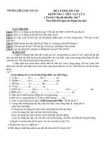 Đề cương ôn tập kiểm tra 1 tiết môn Vật lý lớp 6 năm 2020 - 2021 THCS Chu Văn An chi tiết | Vật Lý, Lớp 6 - Ôn Luyện