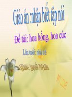 slide 1 đặc điểm của hoa hồng hoa hồng màu đỏ có nhiều cánh cánh hoa tròn màu đỏ lá mỏng màu xanh thân hoa có gai đặc điểm hoa cúc hoa cúc màu vàng có nhiều cánh cánh hoa màu vàng cánh hoa nhỏ và