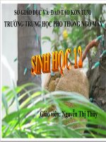 Cau truc di uyen cuaquaanf the t1