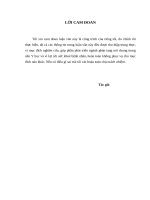 LUẬN văn THẠC sĩ y học FULL (NGOẠI KHOA) kết quả ghép thận ở bệnh nhân suy thận mạn giai đoạn cuối từ người cho sống tại BVTW thái nguyên 