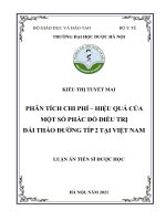 Phân tích chi phí – hiệu quả của một số phác đồ điều trị đái tháo đường típ 2 tại Việt Nam (FULL TEXT)
