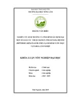 Luận văn tốt nghiệp nghiên cứu sinh trưởng và tình hình sâu bệnh hại một số loài cây thuộc họ đay (tiliaceae) 