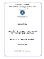 Nguyên tắc tranh tụng trong tố tụng hình sự việt nam 