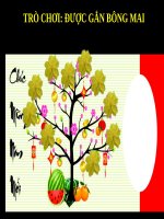 Trò chơi powerpoint  TRO CHOI GAN HOA MAI