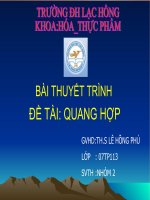 bài báo cáo quá trình quang hợp bài thuyết trình đề tài quang hợp gvhd th s lê hồng phú lớp 07tp113 svth nhóm 2 thành viên thực hiện 1 dương thị ngọc diệu nhóm trưởng 2 trần thị thanh diệp 3 nguyễn