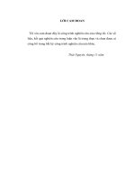 LUẬN văn THẠC sĩ y học FULL (NGOẠI KHOA) nghiên cứu kết quả LS, chẩn đoán hình ảnh và kết quả phẫu thuật u não tế bào thần kinh đệm ác tính tại BV hữu nghị việt đức 