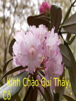 slide 1 kính chào quí thầy cô em hieåu theá naøo laø lòch söï teá nhò tìm caâu ca dao noùi veà lòch söï teá nhò bài 10 tích cöïc töï giaùc trong hoaït ñoäng taäp theå vaø trong hoaït ñoäng xaõ h