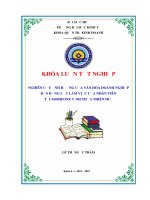 Nghiên cứu ảnh hưởng văn hóa doanh nghiệp đến động lực làm việc của nhân viên tại mobifone tỉnh thừa thiên huế 