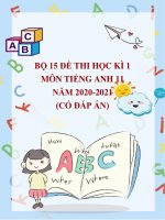 Bộ 15 đề thi học kì 1 môn Tiếng Anh 11 năm 2020-2021 (Có đáp án)