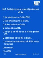 sql information technology