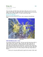 rong câu rong câu in người đưa bài otxanh 15072007 rong câu được chế biến thành một thức ăn đặc sản gọi là “xa xa’’ rất ngon và mát ngày xưa người dân miền trung đã coi món xa xa là món ăn đặc s