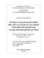 Xử phạt vi phạm hành chính đối với các hành vi lấn chiếm trái phép hè phố đô thị (từ thực tiển tại thành phố hồ chí minh) 
