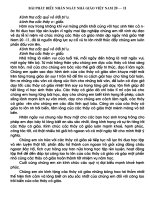 LOI DAN VAN NGHE 2011