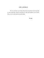 LUẬN văn THẠC sĩ y học FULL (NHI KHOA) nghiên cứu thực trạng nhiễm giun truyền qua đất ở học sinh hai trường mầm non tại thái nguyên 