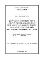 Tóm tắt luận văn thạc sĩ quản trị kinh doanh quản trị rủi ro tín dụng trong cho vay trung dài hạn sản xuất kinh doanh tại ngân hàng TMCP xuất nhập khẩu việt nam chi nhánh buôn ma thuột 