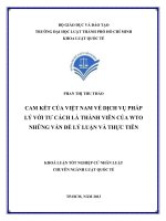 Cam kết việt nam về dịch vụ pháp lý với tư cách là thành viên của wto   những vấn đề pháp lý luận và thực tiễn 