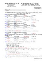 Đề thi thử THPT quốc gia môn Hoá năm 2019 THPT thị xã Quảng Trị có đáp án - Mã đề 132 | Đề thi đại học, Hóa học - Ôn Luyện