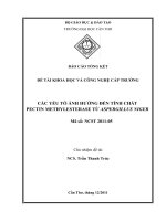 BÁO CÁO TỔNG KẾT ĐỀ TÀI KHOA HỌC VÀ CÔNG NGHỆ CẤP TRƯỜNG CÁC YẾU TỐ ẢNH HƯỞNG ĐẾN TÍNH CHẤT PECTIN METHYLESTERASE TỪ ASPERGILLUS NIGER