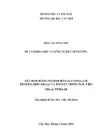 BÁO CÁO TỔNG KẾT ĐỀ TÀI KHOA HỌC VÀ CÔNG NGHỆ :XÁC ĐỊNH HẰNG SỐ SINH HÓA GLYCOSYLATEHEMOGLOBIN (HbA1c) VÀ INSULIN TRONG MÁU CHÓ
