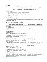 GIAOAN LOP tuan cktkn