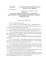 BÁO CÁOĐề xuất chủ trương đầu tư Chương trình mục tiêu quốc gia phát triển kinh tế - xã hội vùng đồng bào dân tộc thiểu số và miền núi giai đoạn 2021-2030